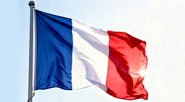 French TradeMark Transfer